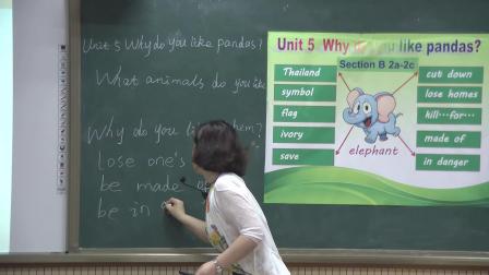人教版英语七下Unit 5 Section B（2a-2c）课堂视频实录（罗小利）