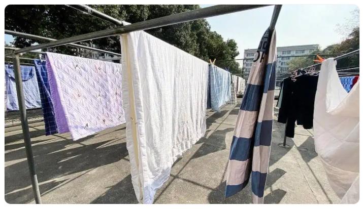 床单一周洗一次：床单一周不换？你正在和“它们”同床共枕